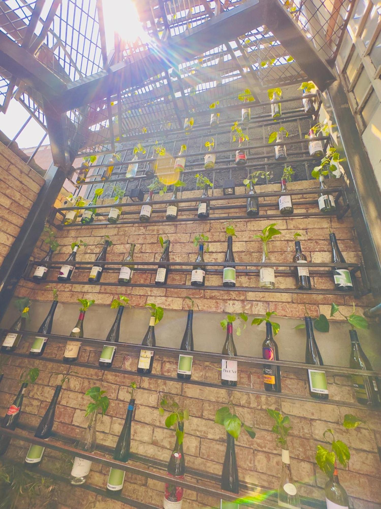 Del Lago Lofts Μεξικό Εξωτερικό φωτογραφία